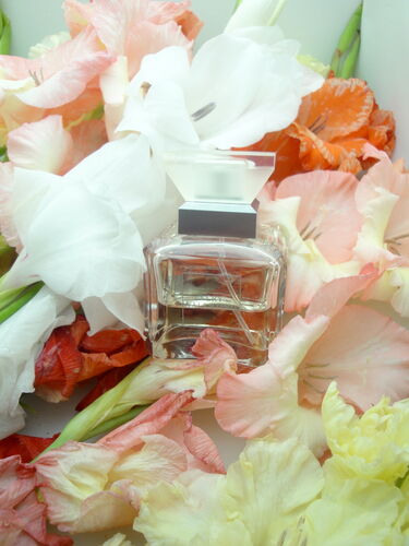 Very Valentino edp